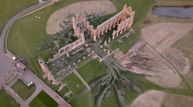 Heritage tree, Whitby abbey 16:9