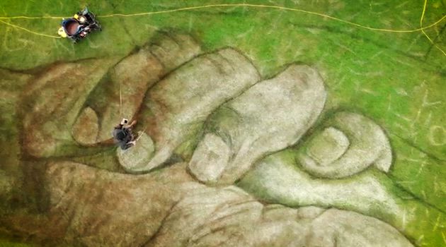 National Lottery Heritage Tree - hero editorial film